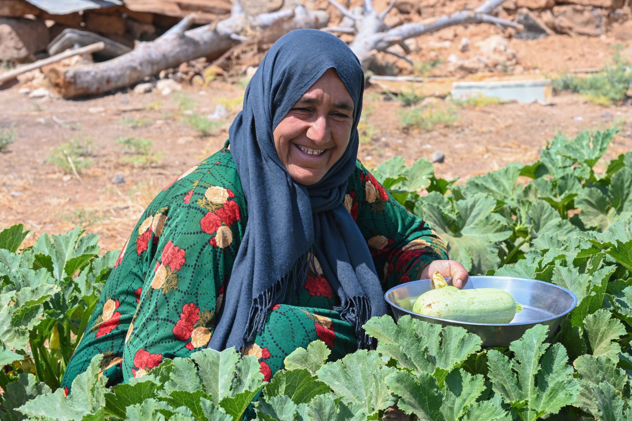 Community farming is playing a pivotal role in food production
